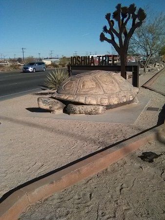 Murtle the Turtle